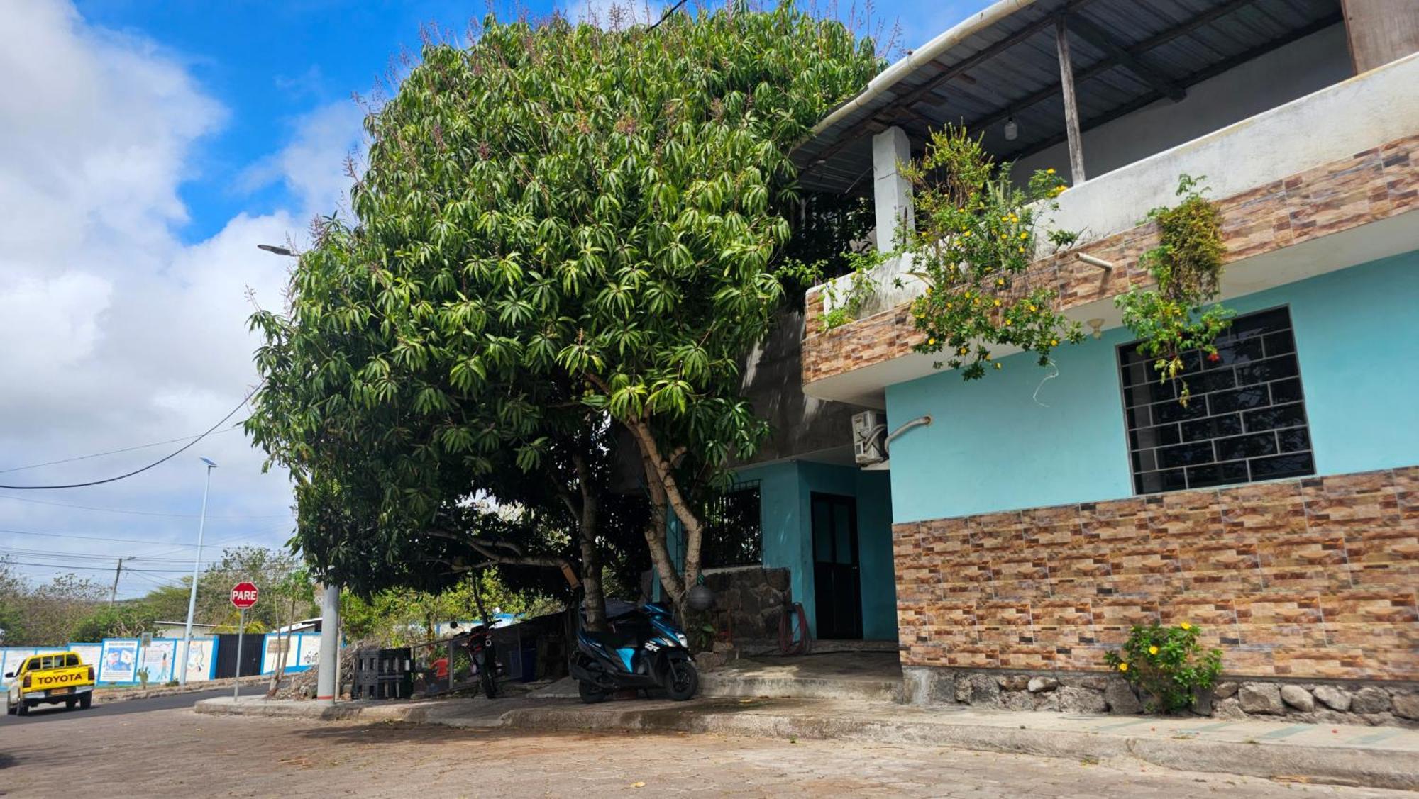 Flor'S House Apartment San Cristobal Exterior photo